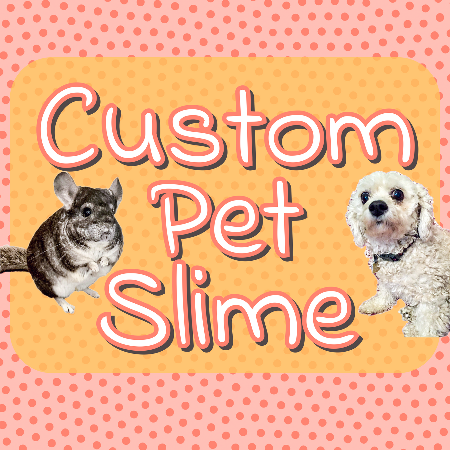 Custom Pet Slime